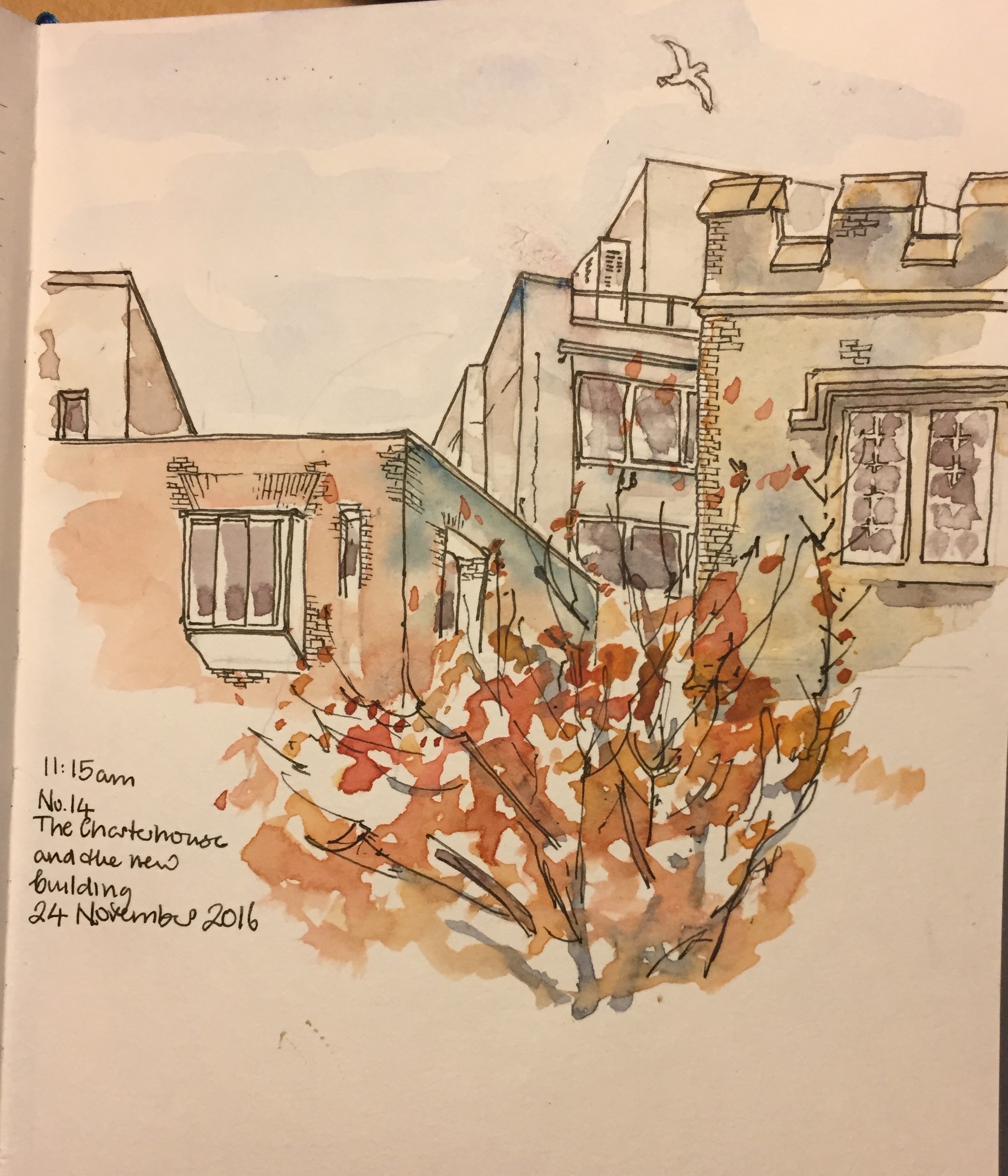 View South West, beyond the Admiral Ashmore building