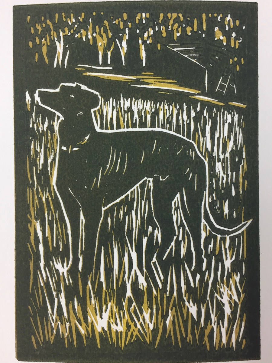 Tiara in the&nbsp;Garden