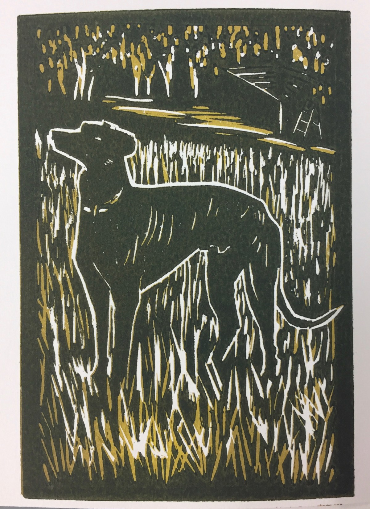 Tiara in the&nbsp;Garden