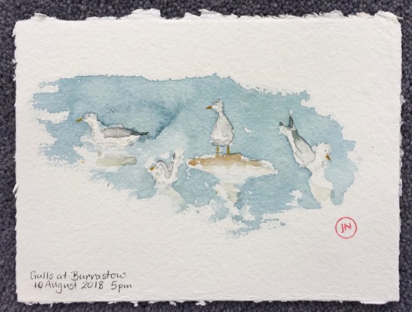 Shetland 2018 drawing