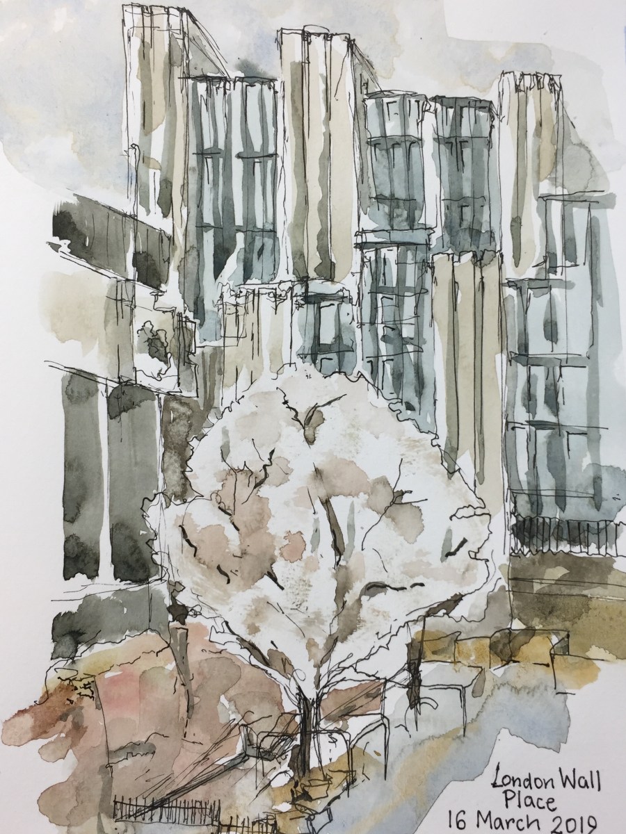 St Alphege Gardens, flowering&nbsp;tree