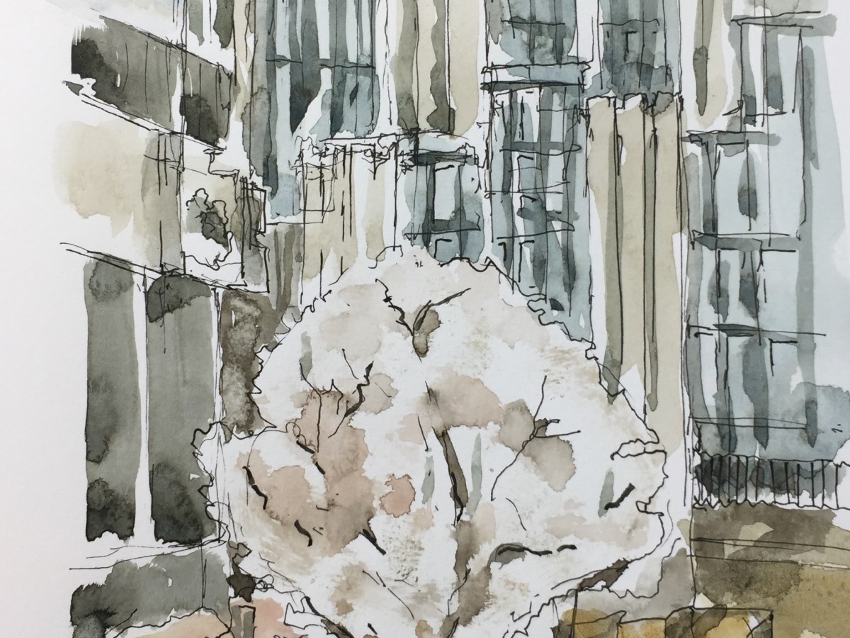 St Alphege Gardens, flowering&nbsp;tree