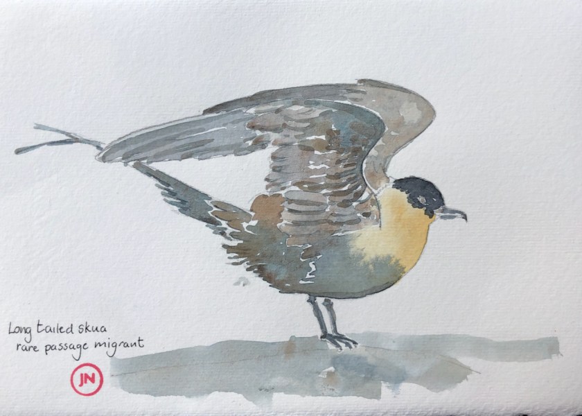 Bird raising its wings