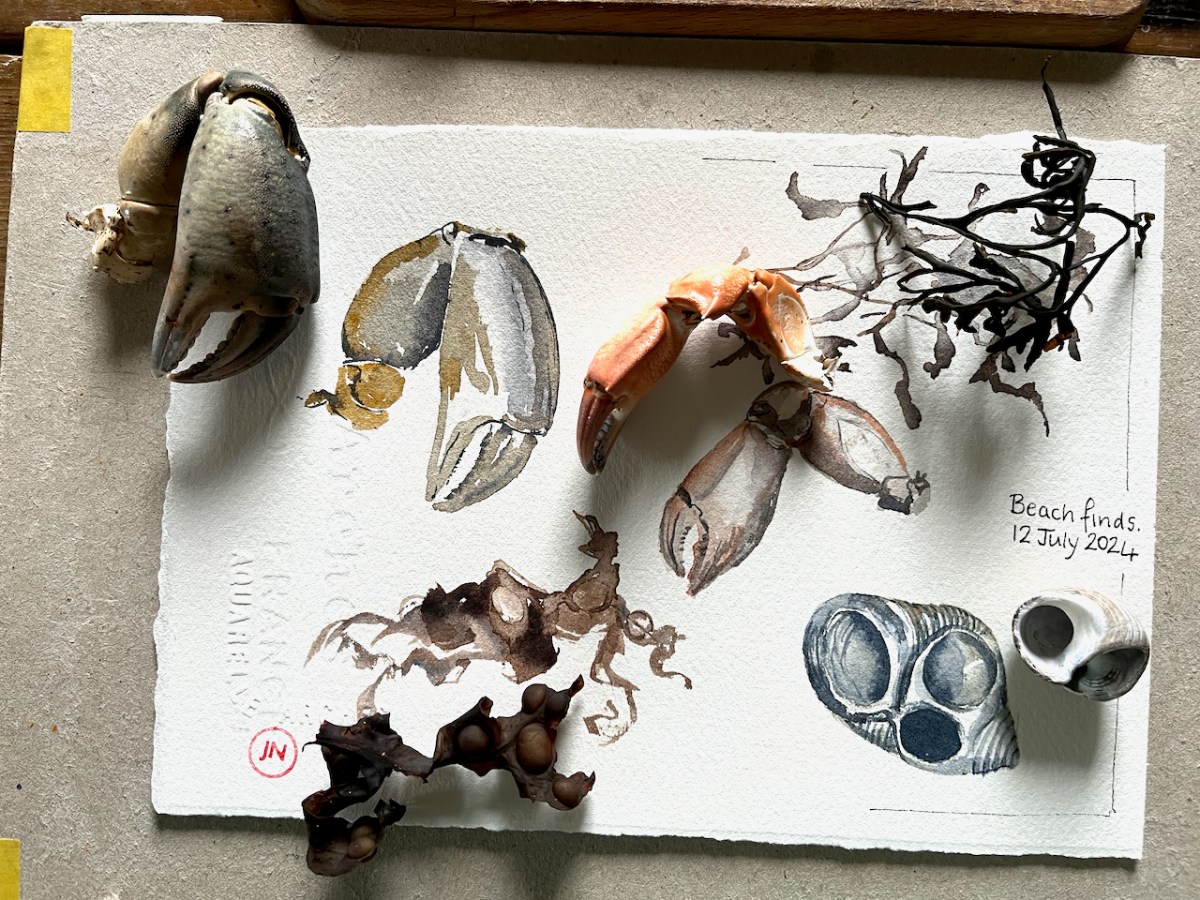 Shetland – beach&nbsp;finds